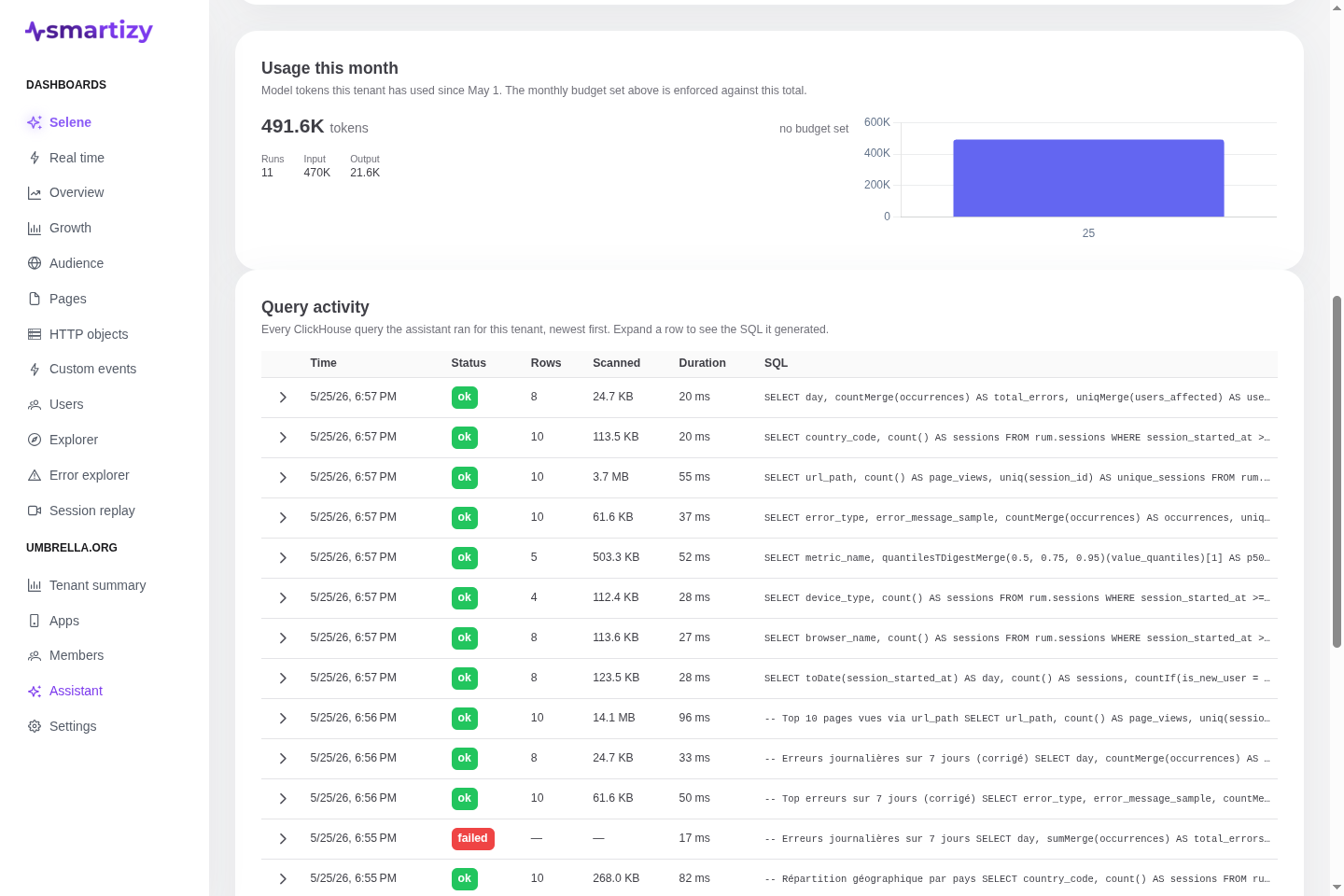 The usage view showing month-to-date tokens against the budget